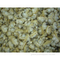 Fresh Frozen Clam Meat for Sale Fresh frozen clam meat Supplier